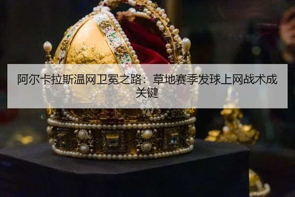 a-er-ka-la-si-wen-wang-wei-mian-zhi-lu-cao-di-sai-ji-fa-qiu-shang-wang-zhan-shu-cheng-guan-jian-3-565.jpg