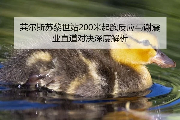 lai-er-si-su-li-shi-zhan-mi-qi-pao-fan-ying-yu-xie-zhen-ye-zhi-dao-dui-jue-shen-du-jie-xi-2-131.jpg