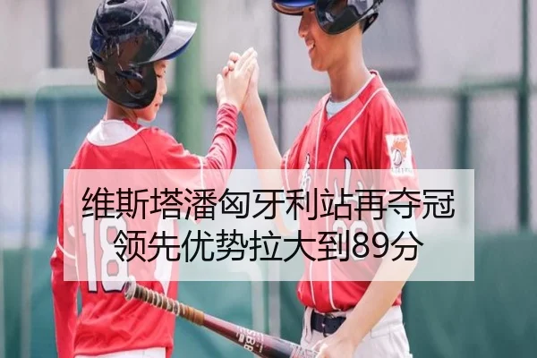 维斯塔潘匈牙利站再夺冠 领先优势拉大到89分