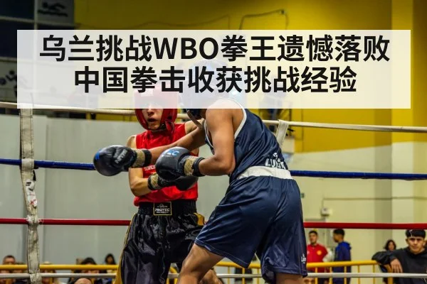 乌兰挑战WBO拳王遗憾落败 中国拳击收获挑战经验