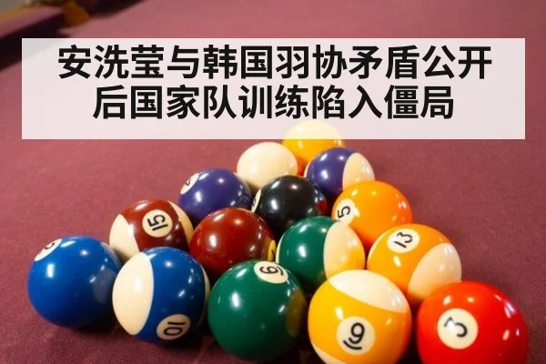 安洗莹与韩国羽协矛盾公开后国家队训练陷入僵局